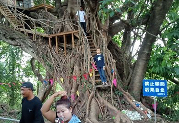 司岗里溶洞第 14 张图片