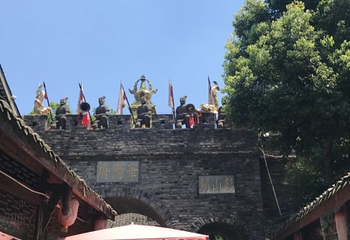 黄龙溪蝴蝶迎新主题园第 15 张图片