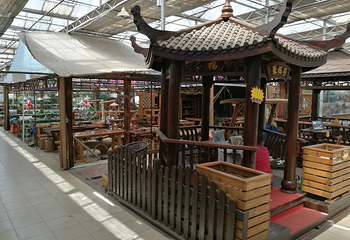 曹庄花卉市场第 19 张图片