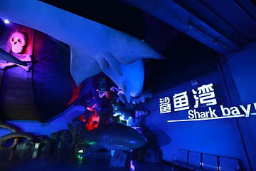 福州欧乐堡海洋世界第 62 张图片