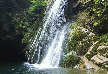 金丝峡景区第 41 张图片