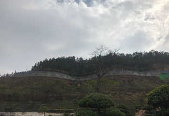 花海欢乐世界第 51 张图片