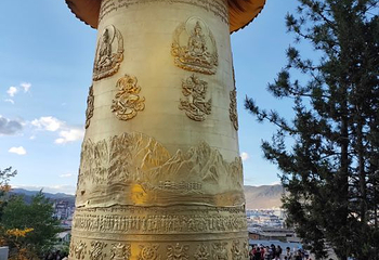 纳帕海(依拉草原)第 50 张图片