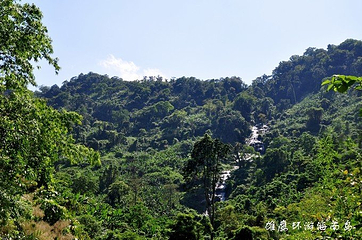 海南百花岭热带雨林文化旅游区第 41 张图片