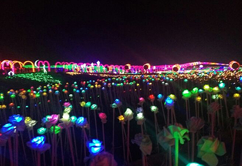 兴义润黔花海国际灯光节第 9 张图片
