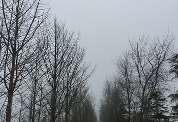 南汇滨海世外桃源第 8 张图片