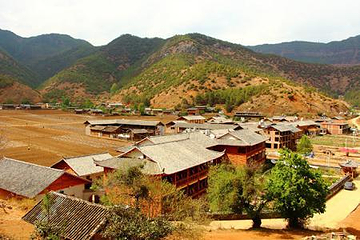 尼赛村第 5 张图片