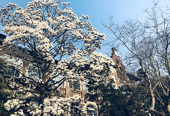 中国海洋大学(鱼山校区)第 7 张图片