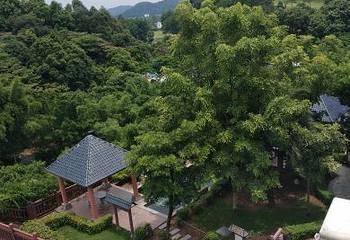 罗浮山嘉宝田218线森林温泉谷第 14 张图片