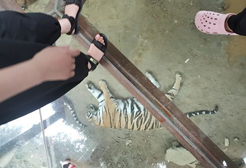 栾川竹海野生动物园第 25 张图片