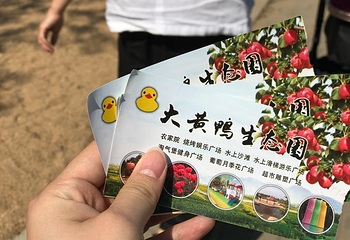 大黄鸭生态园第 14 张图片