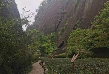 武夷山九曲溪第 50 张图片