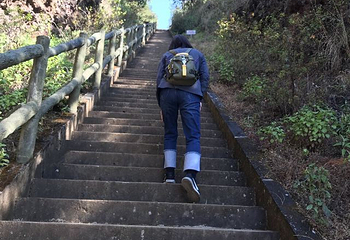 腾冲云峰山原始森林公园第 26 张图片