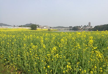 葫芦坝睡养小镇第 33 张图片