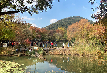 天平山第 109 张图片