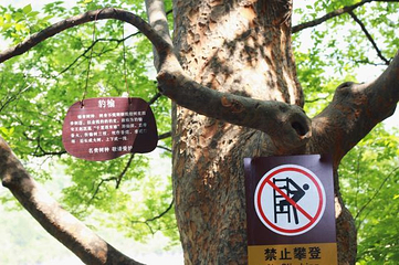 姑射山第 11 张图片