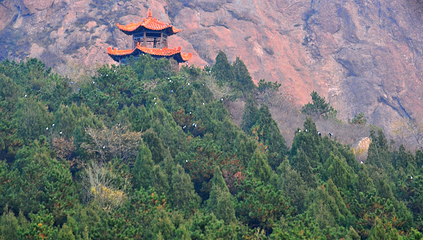 锦州茶山风景区第 18 张图片