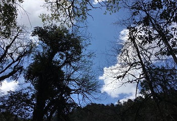 黑竹沟风景名胜区第 50 张图片
