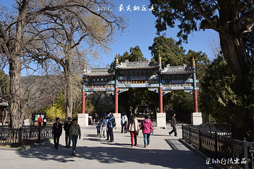 国家植物园北园-卧佛寺第 5 张图片