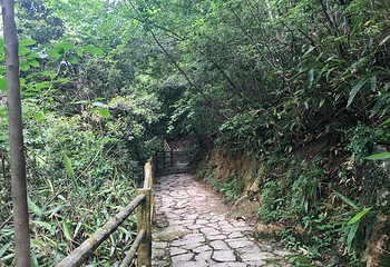 浙西大龙湾景区第 30 张图片