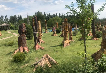 辽宁朝阳鸟化石国家地质公园第 44 张图片
