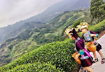 仙人山景区第 37 张图片