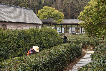 野村谷景区第 26 张图片