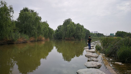 西安浐灞国家湿地公园第 90 张图片