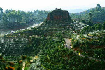 宜宾市翠屏山景区第 22 张图片