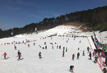 浙江大明山地质公园第 187 张图片