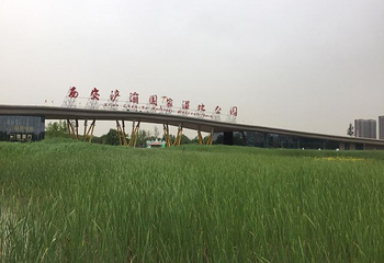 西安浐灞国家湿地公园第 102 张图片