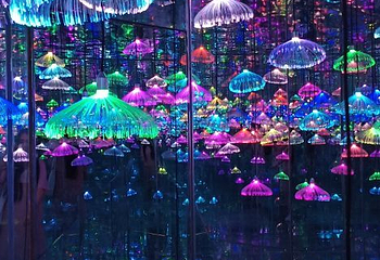 绵阳星空失恋博物展第 23 张图片