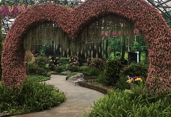 百花渡第 7 张图片