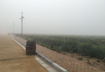 中粮长城桑干酒庄第 20 张图片