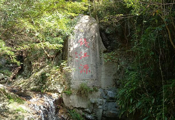 钱江源国家森林公园第 27 张图片