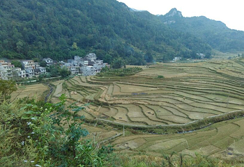 巴泽梯田第 7 张图片