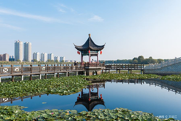 西双湖风景区第 4 张图片