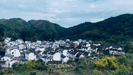 菊径村第 10 张图片