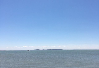 达里湖南岸景区第 3 张图片