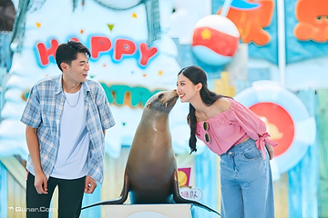海合安成都极地海洋公园第 32 张图片