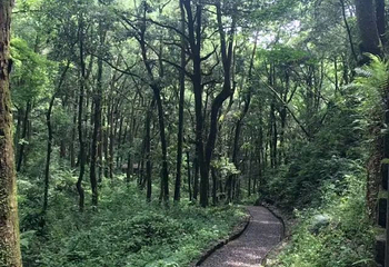 琴溪香谷景区第 39 张图片