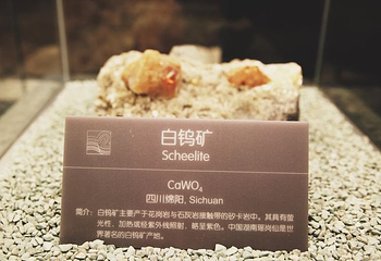南京直立人化石遗址博物馆第 11 张图片