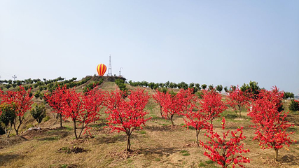 响水滩乡村记忆旅游景区第 21 张图片