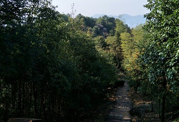 水濂山野战拓展基地第 24 张图片