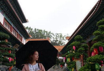普陀寺第 16 张图片