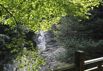 野鹤湫风景区第 23 张图片