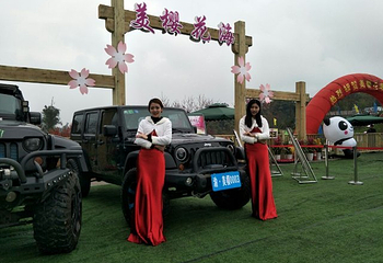 美樱花海第 36 张图片