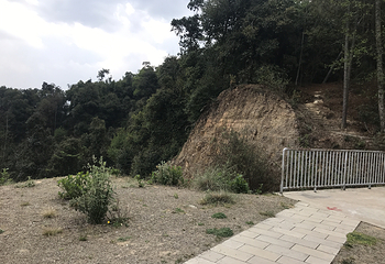 紫溪山风景区第 18 张图片