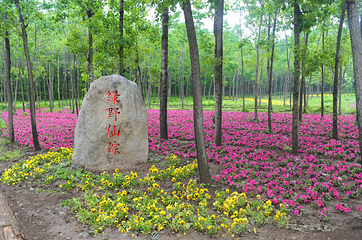 绿野仙踪生态庄园第 3 张图片