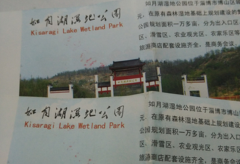 如月湖湿地公园第 17 张图片